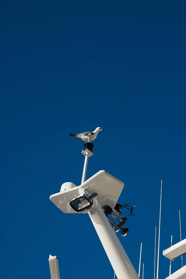 data center, family office team, disaster resilience, secure cloud backup